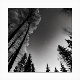 Black And White Forest 3 Canvas Print