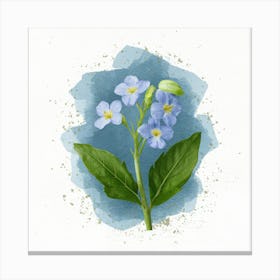 Forget Me Not Canvas Print