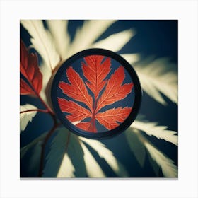 A Camera Lens Magnifies A Single Red Leaf Against A Backdrop Of Pale Green And Yellow Leaves Canvas Print