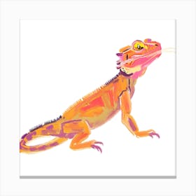 Bearded Dragon Lizard 07 Canvas Print