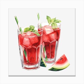 Watermelon Cocktail 17 Canvas Print
