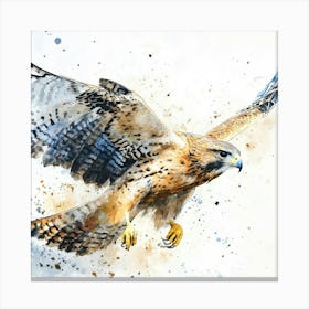 Hawk In Flight Watercolor Painting Canvas Print