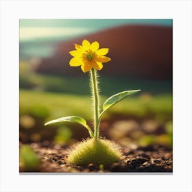 Sunflower Canvas Print