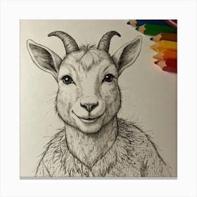 Goat Drawing 23 Canvas Print