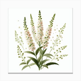 Flowers of Mignonette 1 Canvas Print