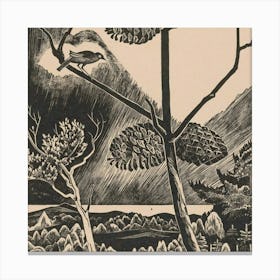 Bird In Pine Tree Canvas Print