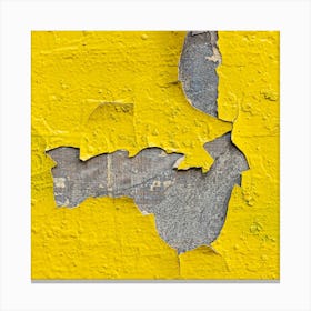 Peeling Paint Canvas Print