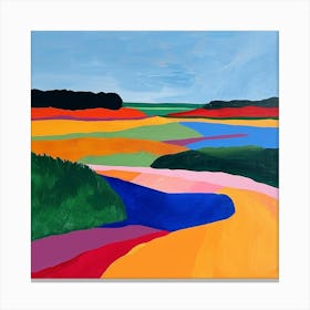 Colourful Abstract Everglades National Park Usa 6 Canvas Print