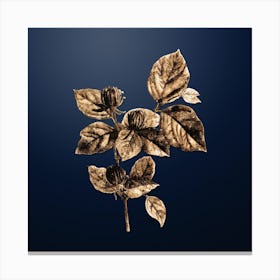 Gold Botanical Carolina Allspice Flower on Midnight Navy n.0479 Canvas Print