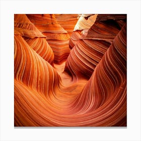 Firefly Fluid Curves Of Erosion In Sandstone Canyon 63058 Canvas Print