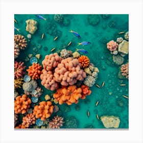 Coral Reef22 Canvas Print