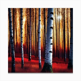 Birch Trees At Sunset 3 Canvas Print