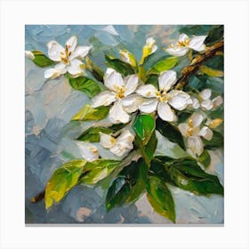 Apple Blossoms Canvas Print