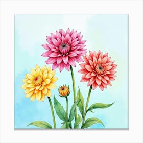 Colorful Watercolor Dahlias Against A Sky Blue Background Canvas Print