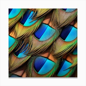 Peacock Feathers 14 Canvas Print
