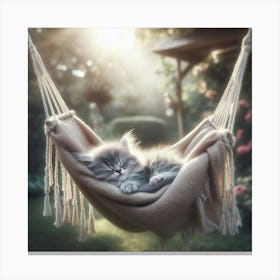 Sleeping Kitten In A Hammock Canvas Print