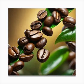 Coffee Beans On A Branch 7 Canvas Print