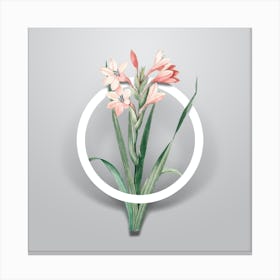 Vintage Gladiolus Saccatus Minimalist Flower Geometric Circle on Soft Gray n.0077 Canvas Print