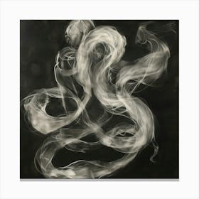 Smoke 4 Canvas Print