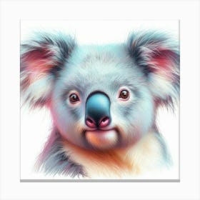 Koala 11 Canvas Print