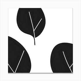 Black And White Leaves Canvas Print