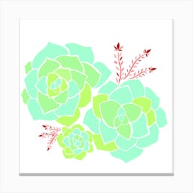 Succulent Story Canvas Print