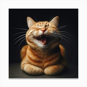 Cat Laughing Canvas Print