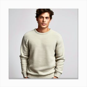 Mock Up Jumper Blank Plain Sweater Pullover Knit Cotton Wool Fleece Soft Comfy Cozy M (9) Canvas Print