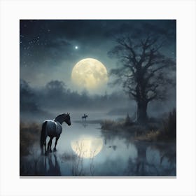 Horse At Night Canvas Print