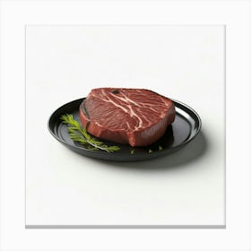 Beef Steak (66) Canvas Print