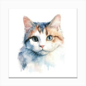 Cymric Cat Portrait Canvas Print