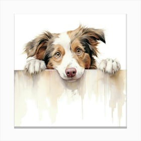 Australian Shepherd Dog Canvas Print