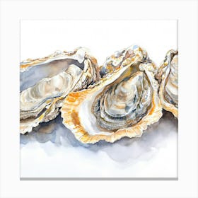 Oysters Watercolor Illustration Canvas Print