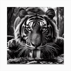 Tiger In The Forest 1 Canvas Print