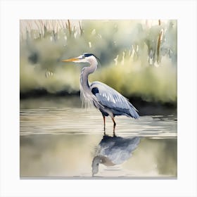 Great Blue Heron Watercolour 1 Canvas Print