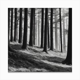 Black And White Forest Canvas Print