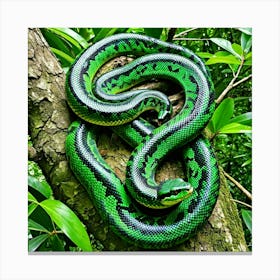 Green Python 3 Canvas Print