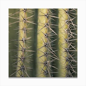 Spiked Cactus Square Canvas Print