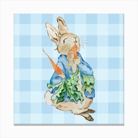Peter Rabbit Inspired - Children's Nursery 1 Canvas Print