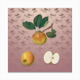 Vintage Apple Botanical on Dusty Pink Pattern n.0207 Canvas Print