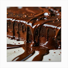 Chocolate Cake With Chocolate Sauce Canvas Print