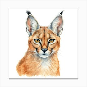 Caracal Cat Portrait Canvas Print