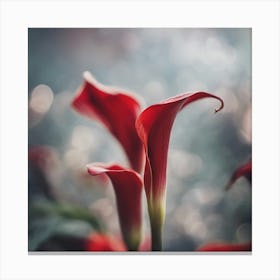 Red Calla Lily Canvas Print