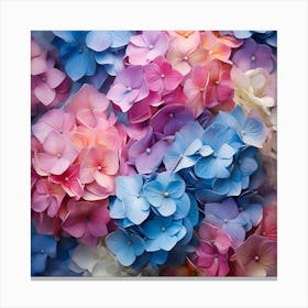 Hydrangeas 5 Canvas Print