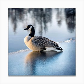 Canadian Geese 9 Canvas Print