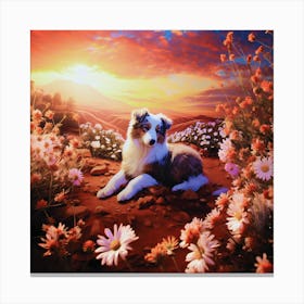 Aussie Shepherd Canvas Print