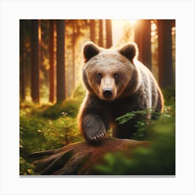 Brown Bear In The Forest Canvas Print