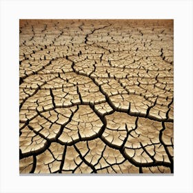 Arid Desert 4 Canvas Print