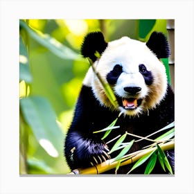 Panda Bear 8 Canvas Print