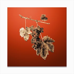 Gold Botanical Grape Colorino on Tomato Red n.0966 Canvas Print